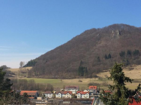 Ferienwohnung Merzenbühl
